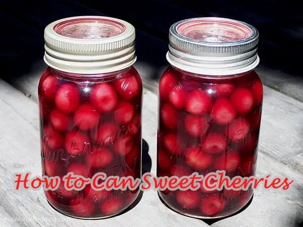 How to Can Sweet Cherries 
