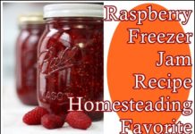 Raspberry Freezer Jam Recipe Homesteading Favorite