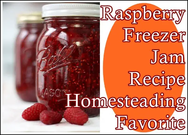 Raspberry Freezer Jam Recipe Homesteading Favorite