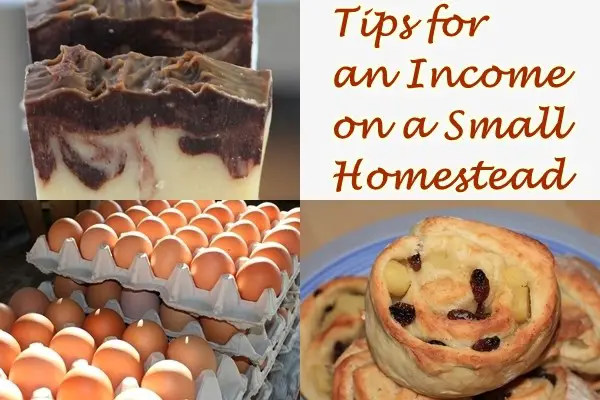 Tips for an Income on a Small Homestead