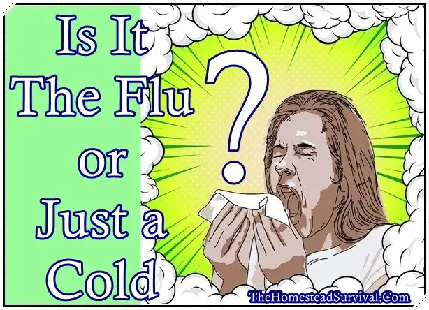 Is It The Flu or Just a Cold