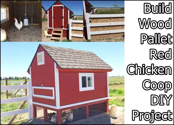 Build Wood Pallet Red Chicken Coop DIY Project 