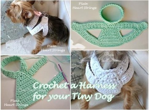 Crochet a Harness for your Tiny Dog - The Homestead Survival
