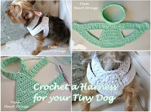 Crochet a Harness for your Tiny Dog