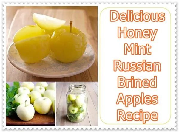 Delicious Honey Mint Russian Brined Apples Recipe