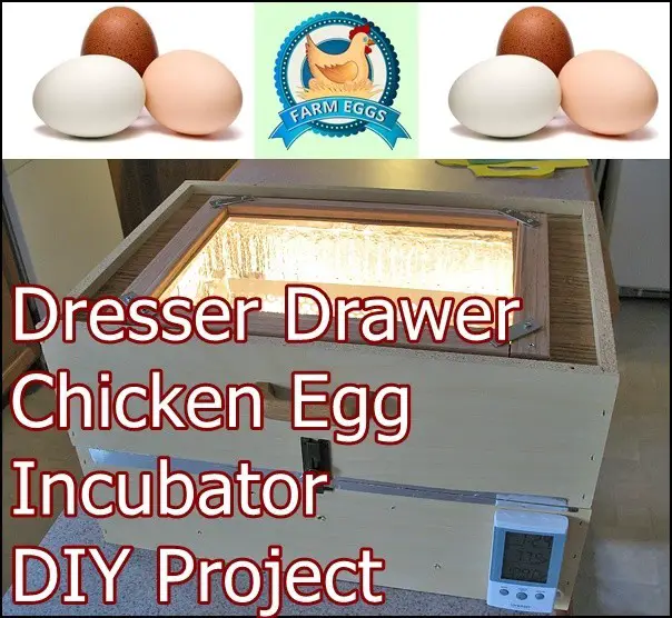Dresser Drawer Chicken Egg Hatching Incubator DIY Project