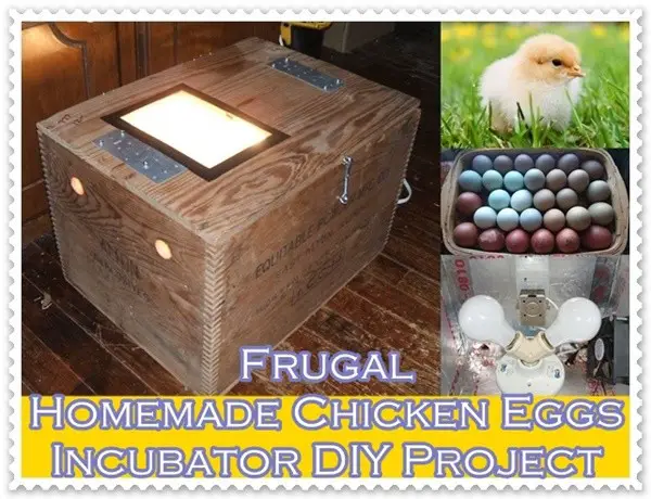 Frugal Homemade Chicken Eggs Incubator DIY Project
