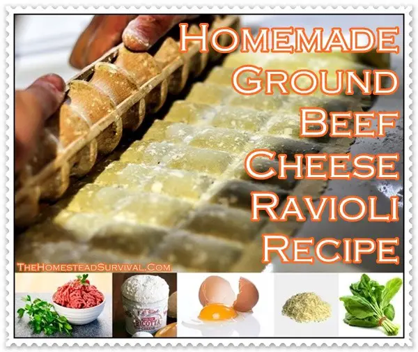 Homemade Ground Beef Cheese Ravioli Recipe