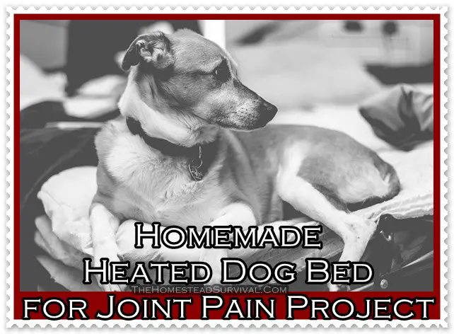 Homemade Heated Dog Bed for Joint Pain Project