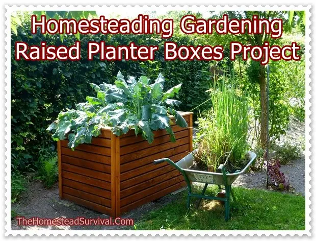 Homesteading Gardening Raised Planter Boxes Project