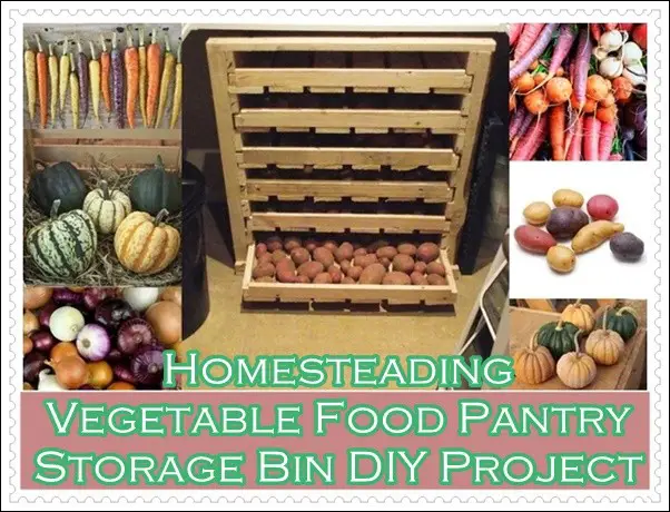 Homesteading Vegetable Food Pantry Storage Bin DIY Project
