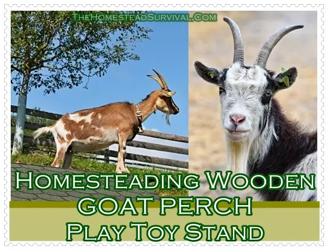 Homesteading Wooden GOAT PERCH Play Toy Stand 