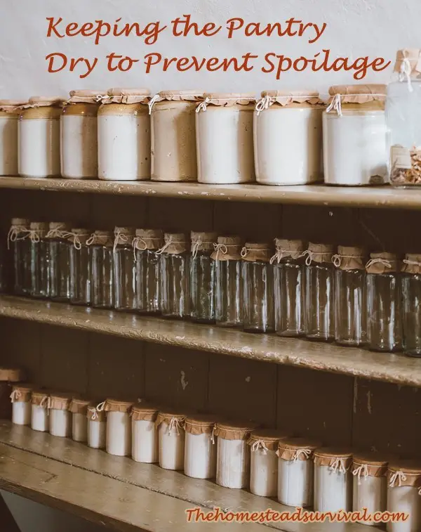 Keeping the Pantry Dry to Prevent Spoilage