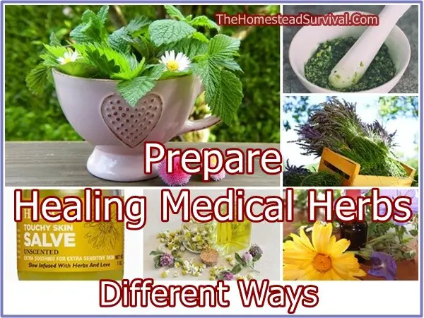 Prepare Healing Medical Herbs Different Ways 