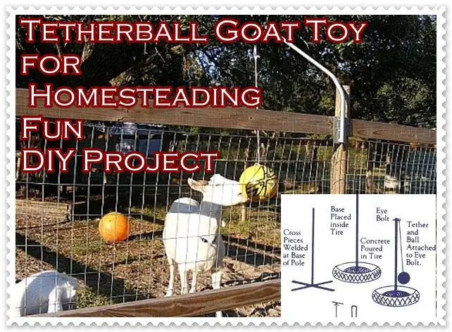 Tetherball Goat Toy for Homesteading Fun DIY Project