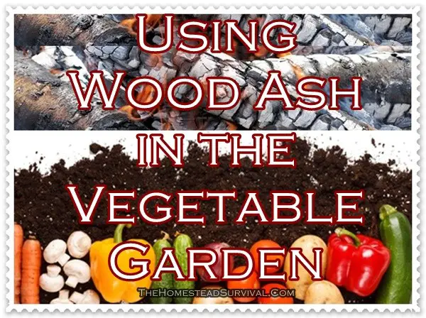 Using Wood Ash in the Vegetable Garden