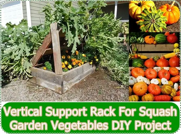  Vertical Support Rack For Squash Garden Vegetables DIY Project