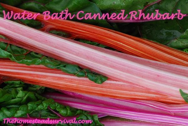 Water Bath Canned Rhubarb