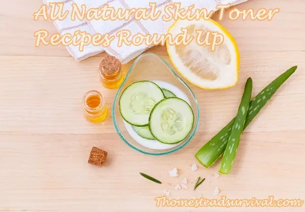All Natural Skin Toner Recipes Round Up