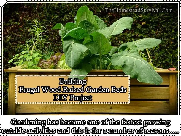 Building Frugal Wood Raised Garden Beds DIY Project - The Homestead Survival