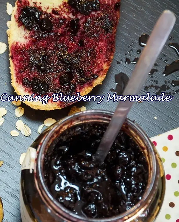 Canning Blueberry Marmalade Jam Recipe - The Homestead Survival
