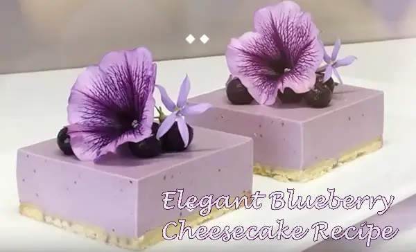 Elegant Blueberry Cheesecake Recipe