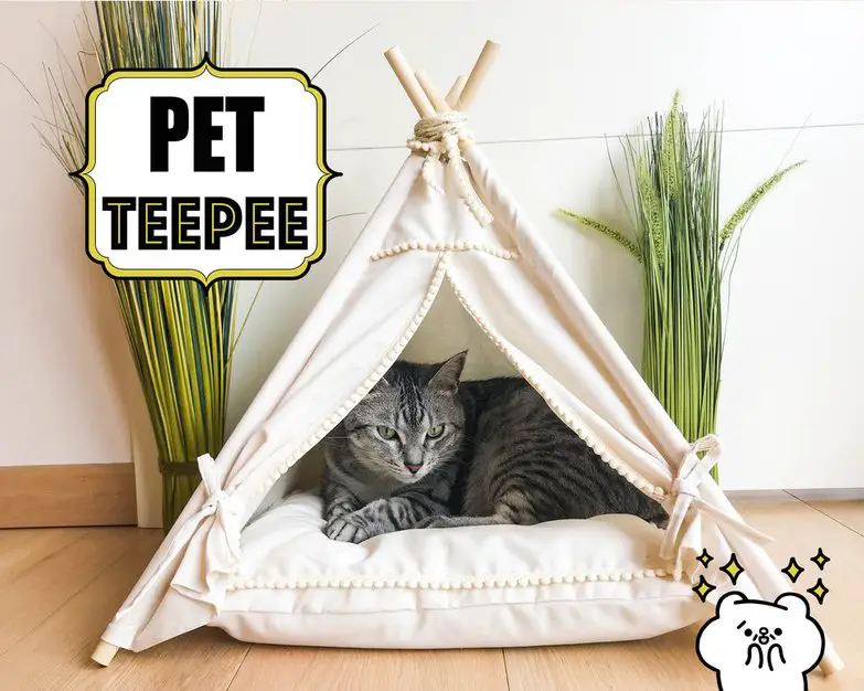 Create Cat Dog Teepee Pet House Craft Project - The Homestead Survival