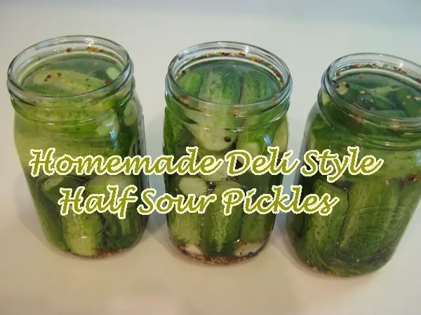 Homemade Deli Style Half Sour Pickles