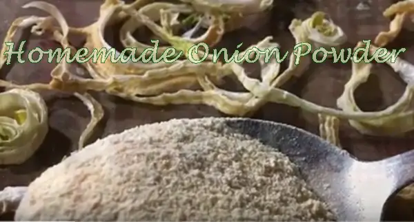 Homemade Onion Powder 