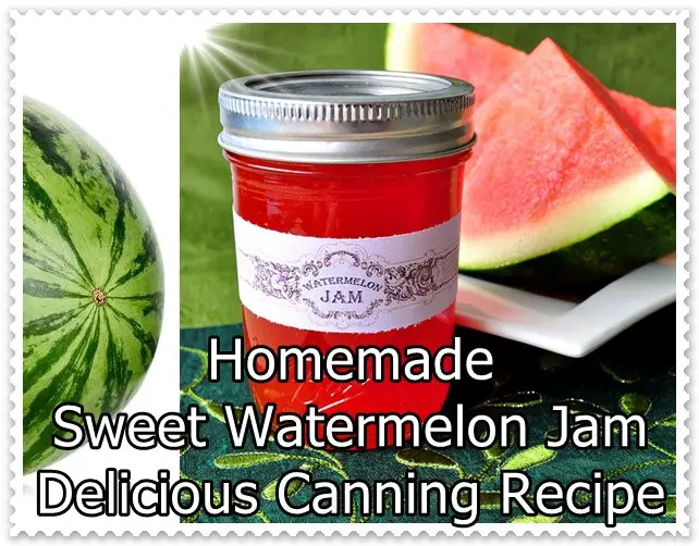 Homemade Sweet Watermelon Jam Delicious Canning Recipe - The Homestead Survival