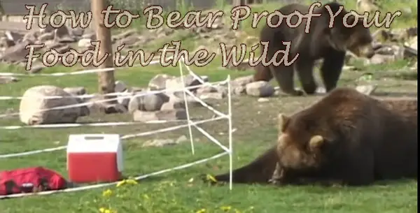 How to Bear Proof Your Food in the Wild