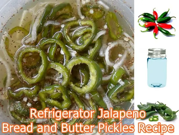 Refrigerator Jalapeno Bread and Butter Pickles Recipe
