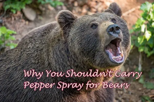 Why You Shouldn't Carry Pepper Spray for Bears