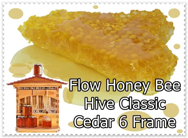 Flow Honey Bee Hive Classic Cedar 6 Frame