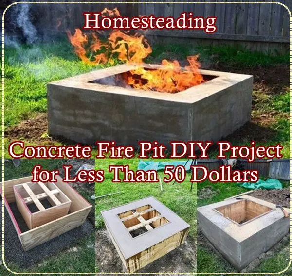 Homesteading Concrete Fire Pit DIY Project for Less Than 50 Dollars - The Homestead Survival