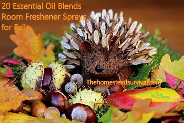 20 Essential Oil Blends Room Freshener Sprays for Fall