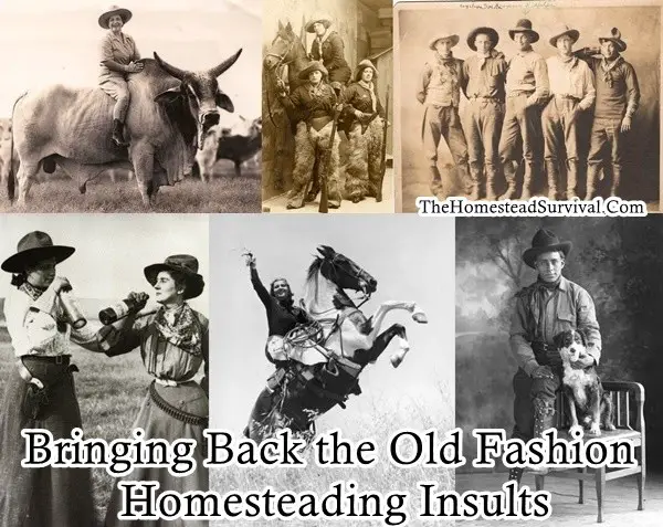 Bringing Back the Old Fashion Homesteading Insults