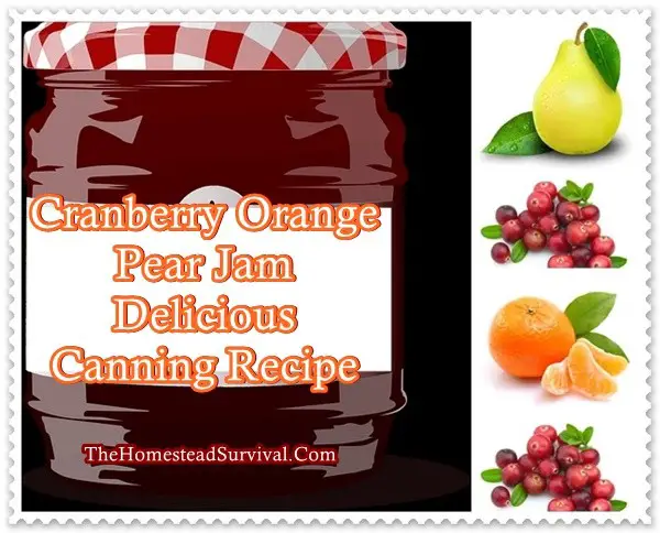 Cranberry Orange Pear Jam Delicious Canning Recipe