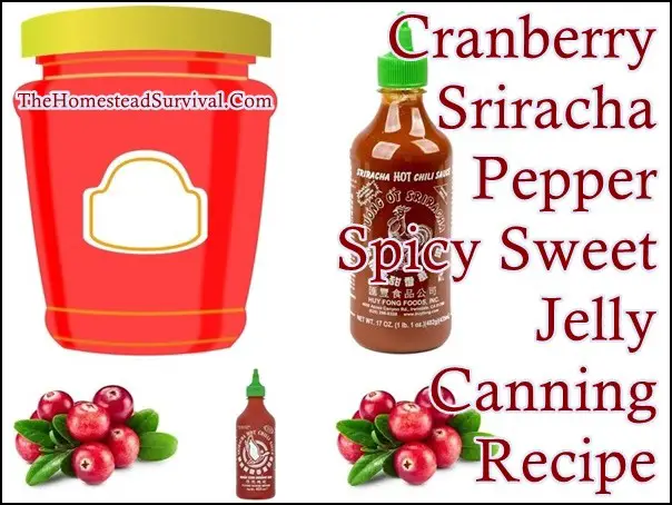Cranberry Sriracha Pepper Spicy Sweet Jelly Canning Recipe