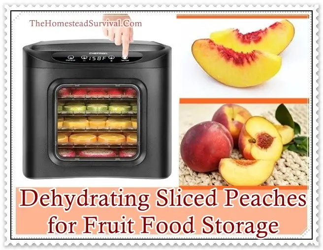 Dehydrating Sliced Peaches for Fruit Food Storage