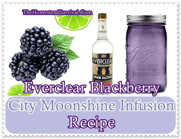 Everclear Blackberry City Moonshine Infusion Recipe - Homesteading - Hard Liquor