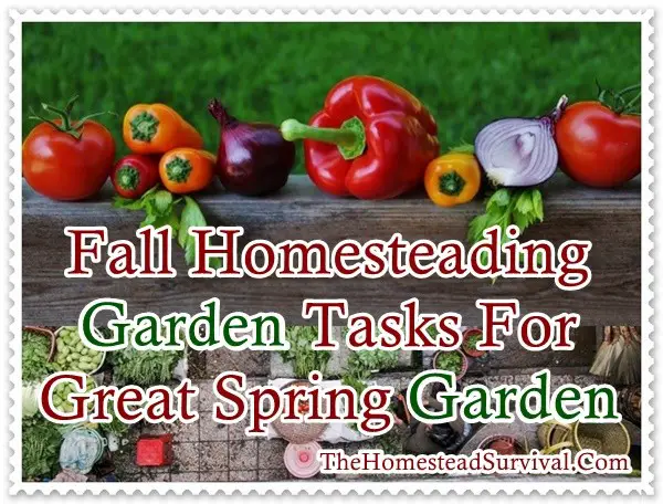 Fall Homesteading Garden Tasks For Great Spring Garden