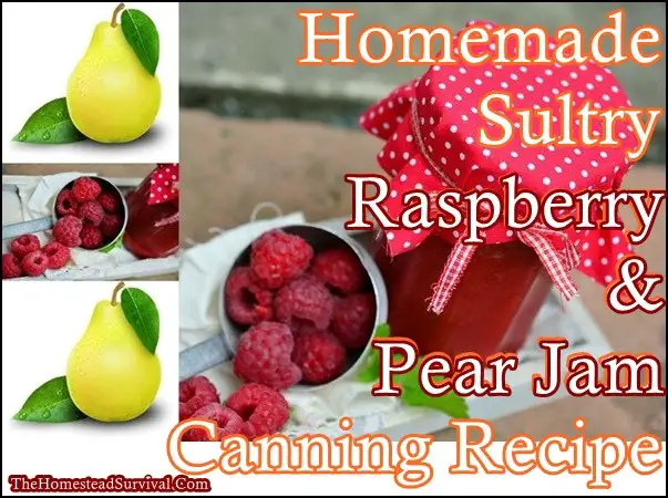 Homemade Sultry Raspberry Pear Jam Canning Recipe