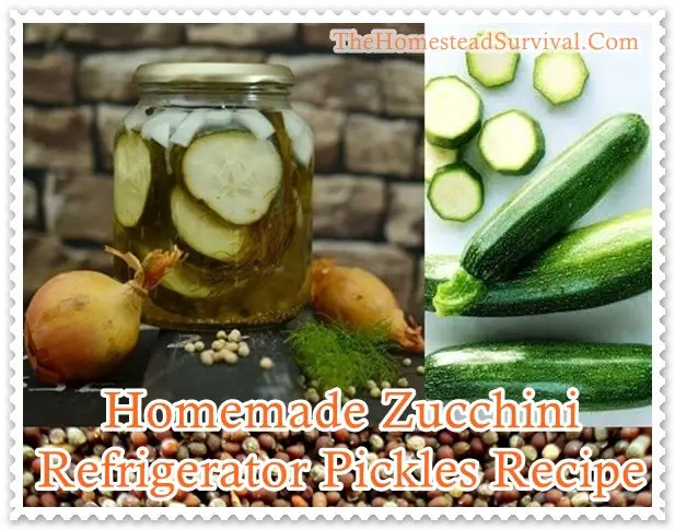 Homemade Zucchini Refrigerator Pickles Recipe - Homesteading 