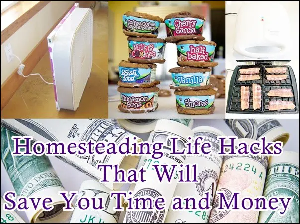Homesteading Life Hacks That Will Save You Time and Money