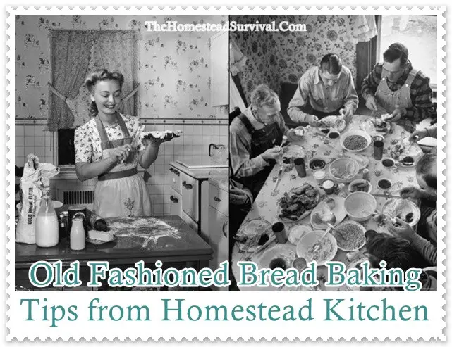 Old Fashioned Bread Baking Tips from Homestead Kitchen