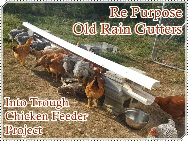 Re Purpose Old Rain Gutters into Trough Chicken Feeder Project - Homesteading - Chickens