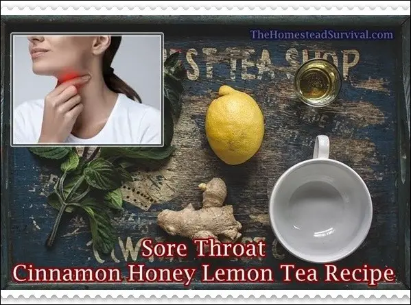 Sore Throat Cinnamon Honey Lemon Tea Recipe - Cold flu - The Homestead Survival