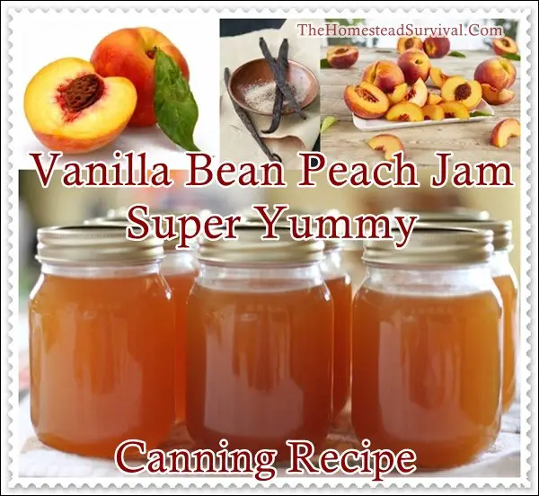 Vanilla Bean Peach Jam Super Yummy Canning Recipe