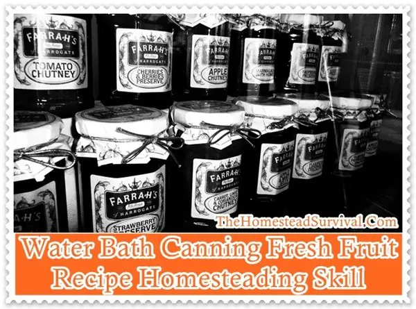 Water Bath Canning Fresh Fruit Recipe Homesteading Skill